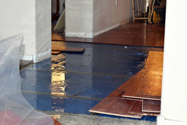 Professional Sewage Cleanup technician working in Worthington, MA